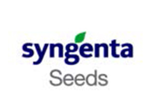 syngenta seeds
